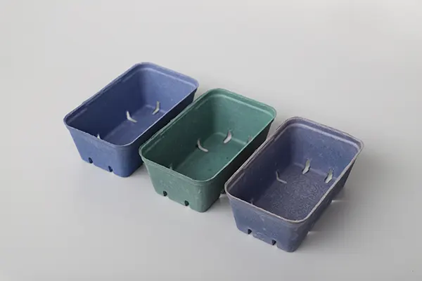 往复式蛋托机插图11 Fresh-food-tray-02.webp