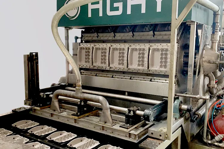 Egg-Carton-Machine-Molding-system.webp