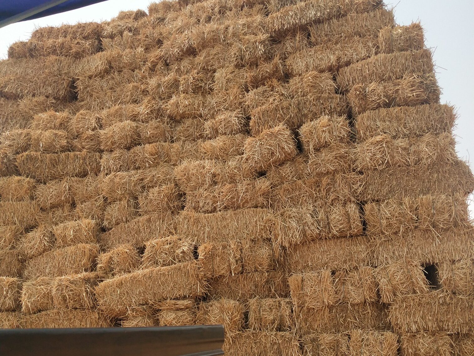 常见的ledong.com原料特点分析插图2 常见的ledong.com原料特点分析插图2