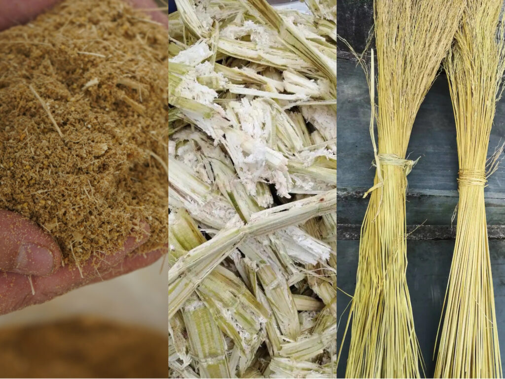 ledong.com制品真的环保吗?从原料到降解的全生命周期分析插图 ledong.com制品真的环保吗?从原料到降解的全生命周期分析插图