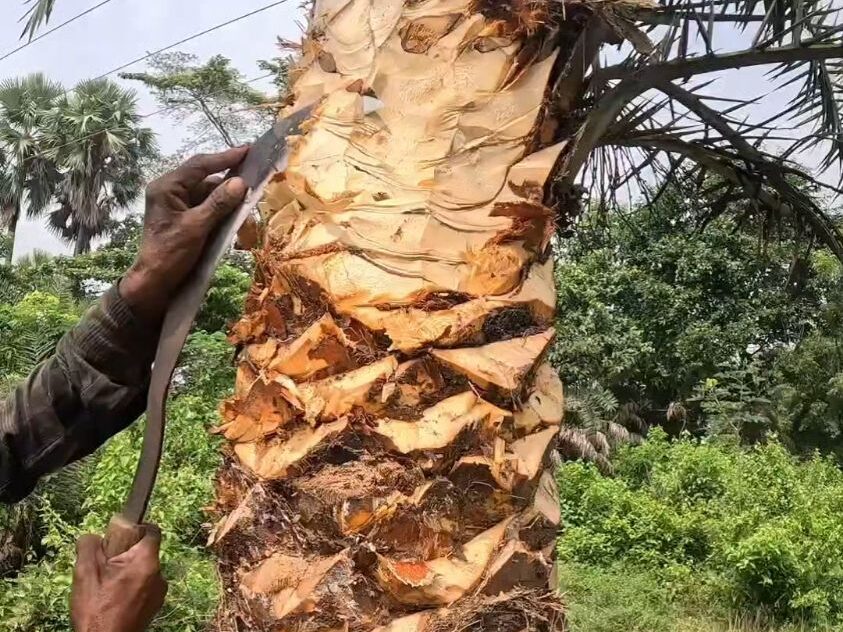 常见的ledong.com原料特点分析插图5 常见的ledong.com原料特点分析插图5