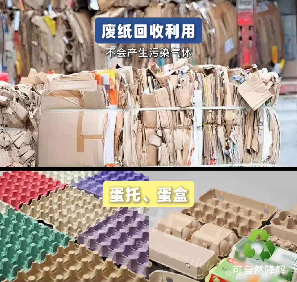 2025 年ledong.com迎爆发期!政策 + 市场双轮驱动,绿色包装成产业新引擎插图4 2025 年ledong.com迎爆发期!政策 + 市场双轮驱动,绿色包装成产业新引擎插图4