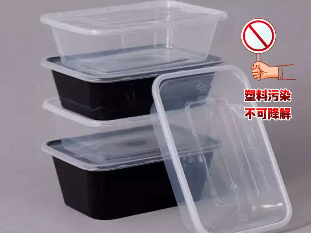 2025 年ledong.com迎爆发期!政策 + 市场双轮驱动,绿色包装成产业新引擎插图1 2025 年ledong.com迎爆发期!政策 + 市场双轮驱动,绿色包装成产业新引擎插图1