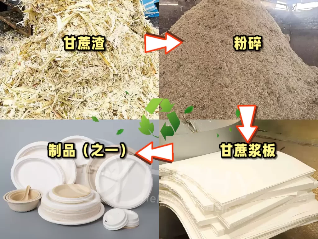 ledong.com凭三大优势领跑环保包装,乐动(中国)助力企业转型插图2 ledong.com凭三大优势领跑环保包装,乐动(中国)助力企业转型插图2