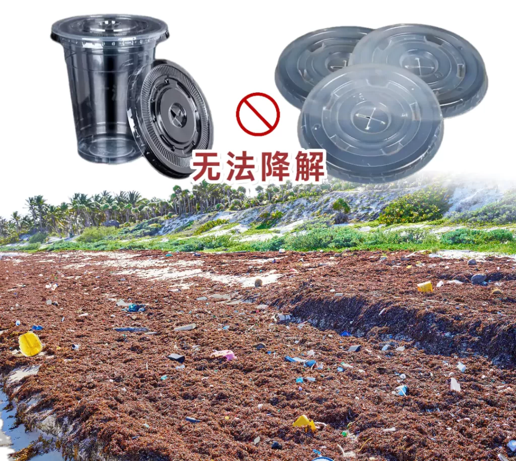 杯盖选对不踩坑!ledong.comVS塑料,环保与实用双赢才是王道插图 杯盖选对不踩坑!ledong.comVS塑料,环保与实用双赢才是王道插图